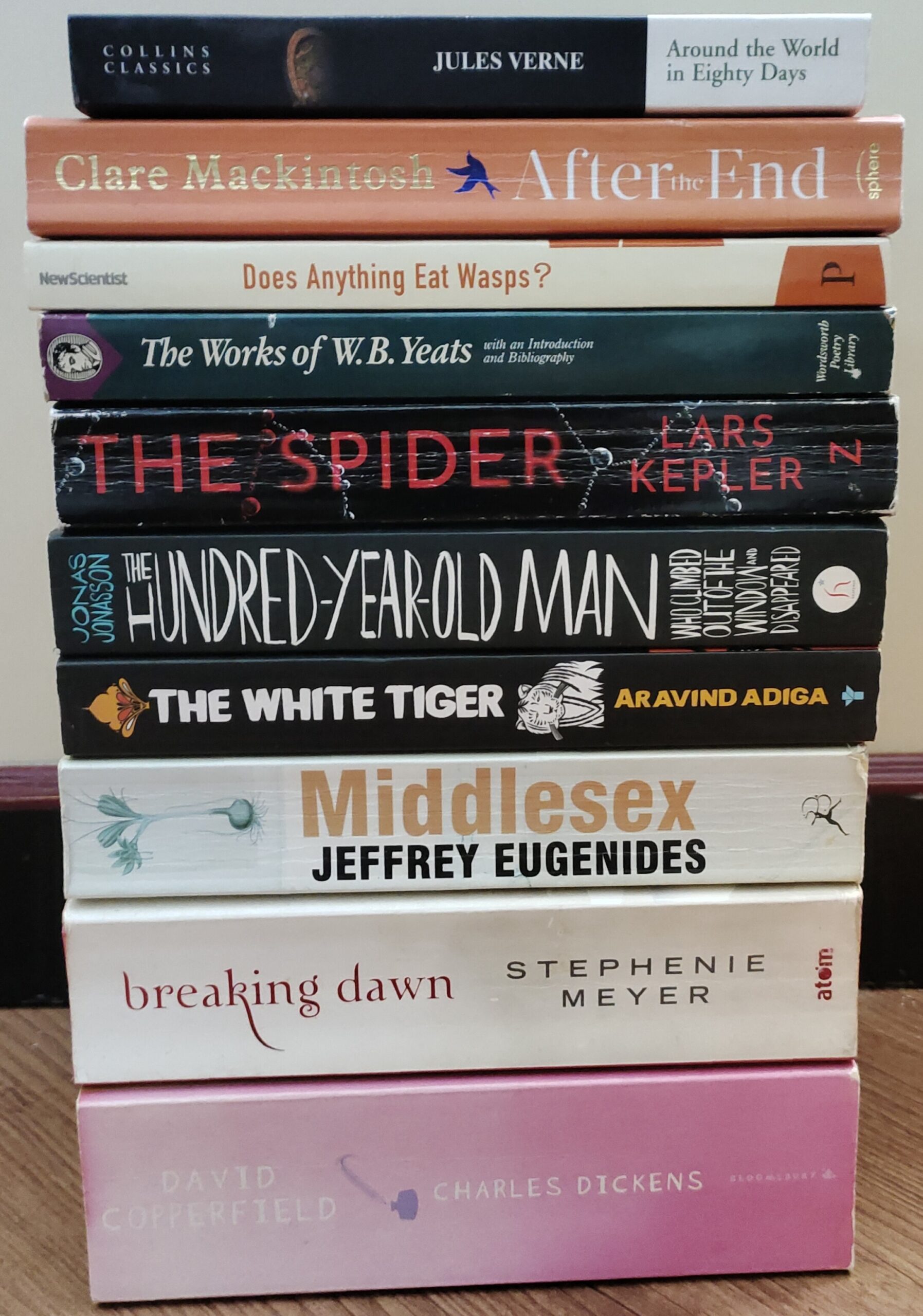 Preloved Imported Fiction Books Lot – Mixed Genre | UK Imported - Image 16